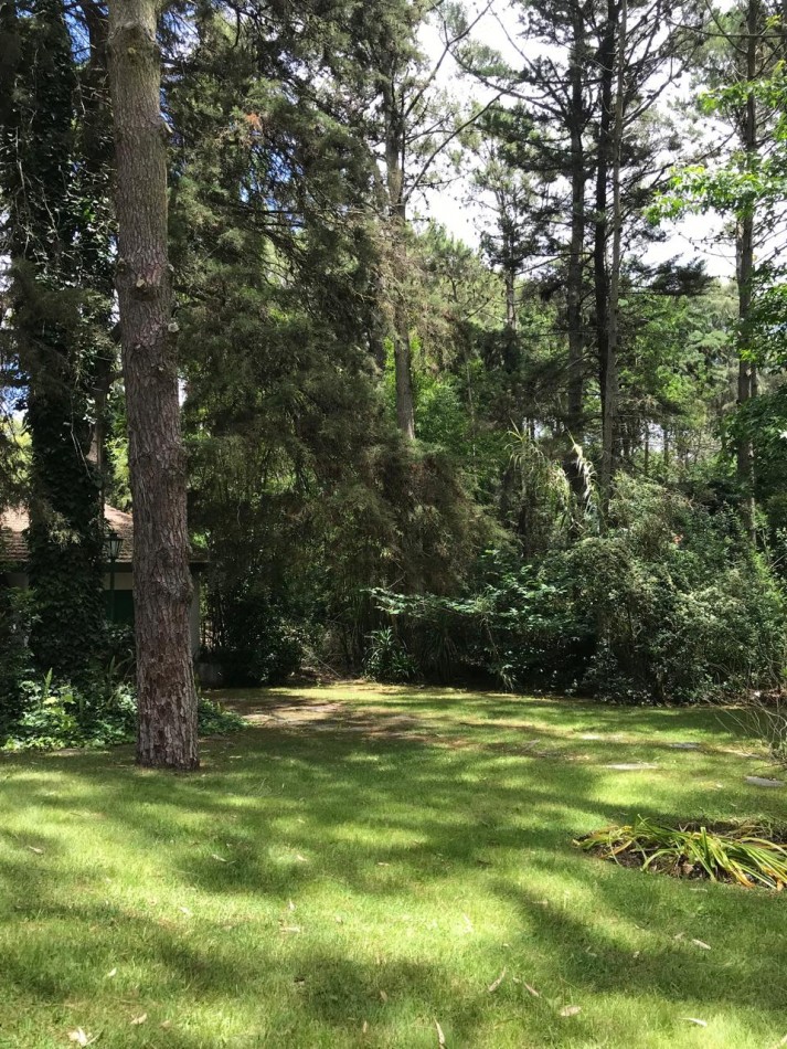 Propiedad de estilo tradicional en el bosque de Carilo